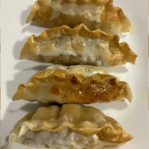 Vegan Dumplings